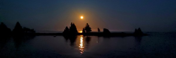 cdnusboy Profile Banner