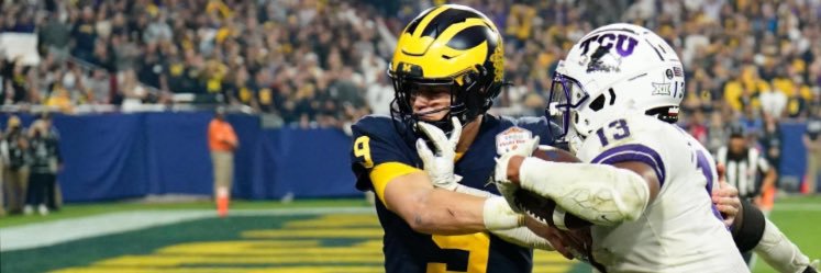 🐸 Sir Frog 🐸 banner