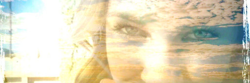 Cindy Knight banner