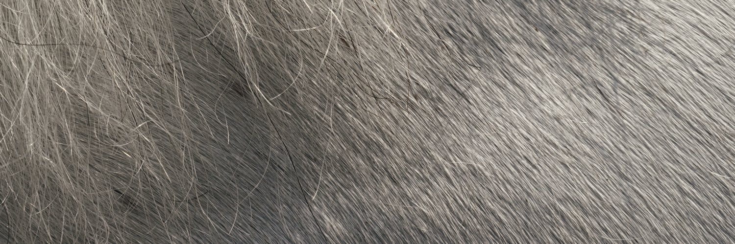 yekermo's profile banner image