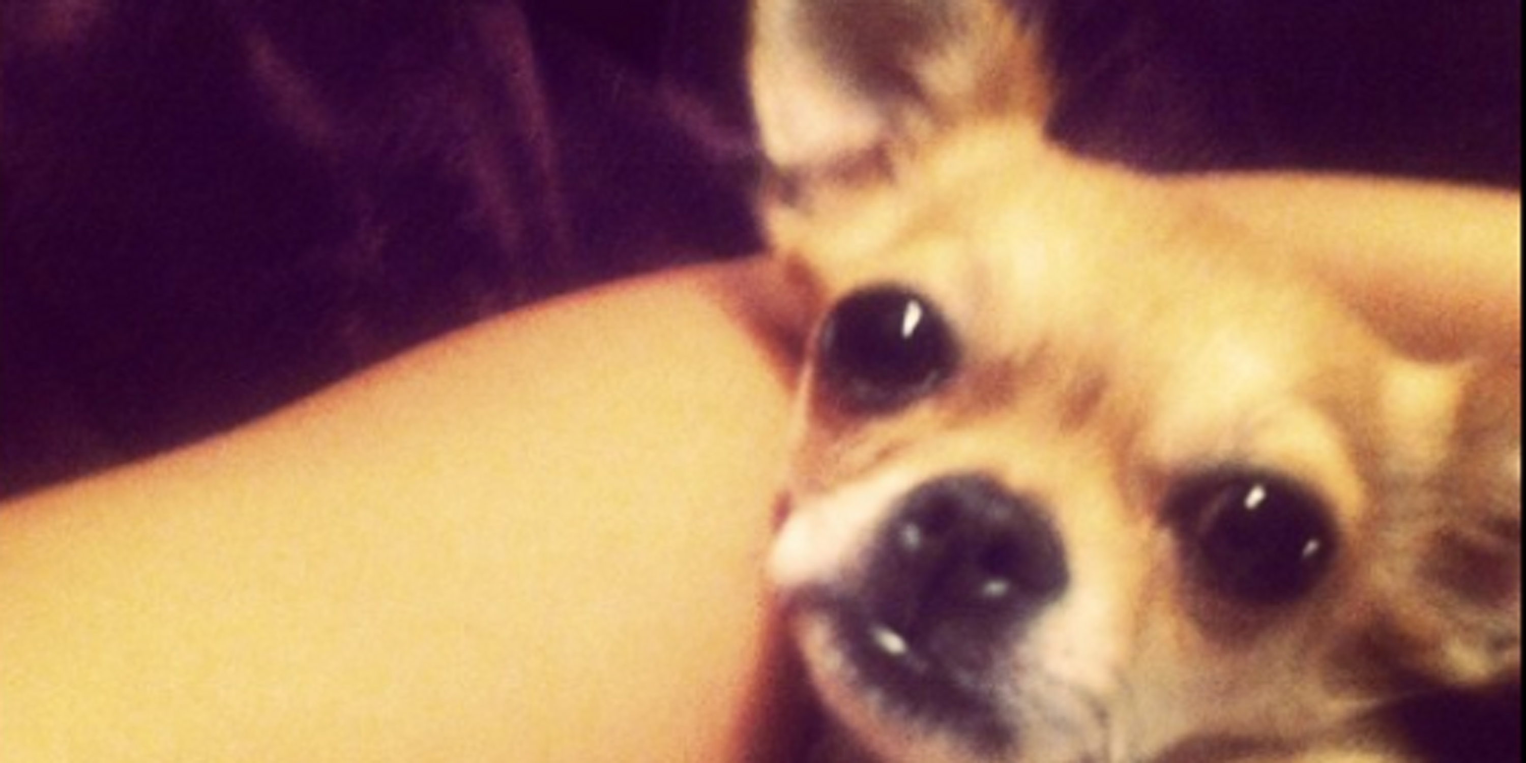 lia_joiz's profile banner image