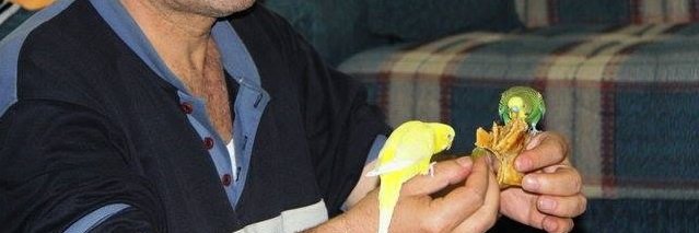 samieray's profile banner image