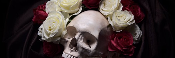 lavawolf Profile Banner