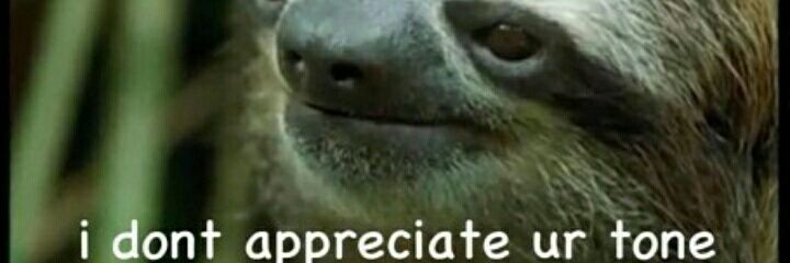 тајчикус banner