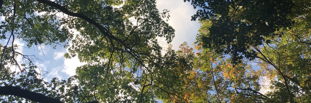 tshett107's profile banner image