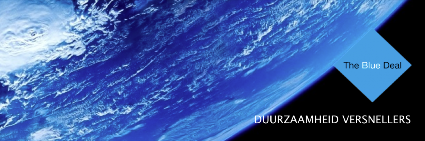 The Blue Deal banner