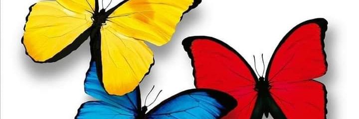 Diana milena banner