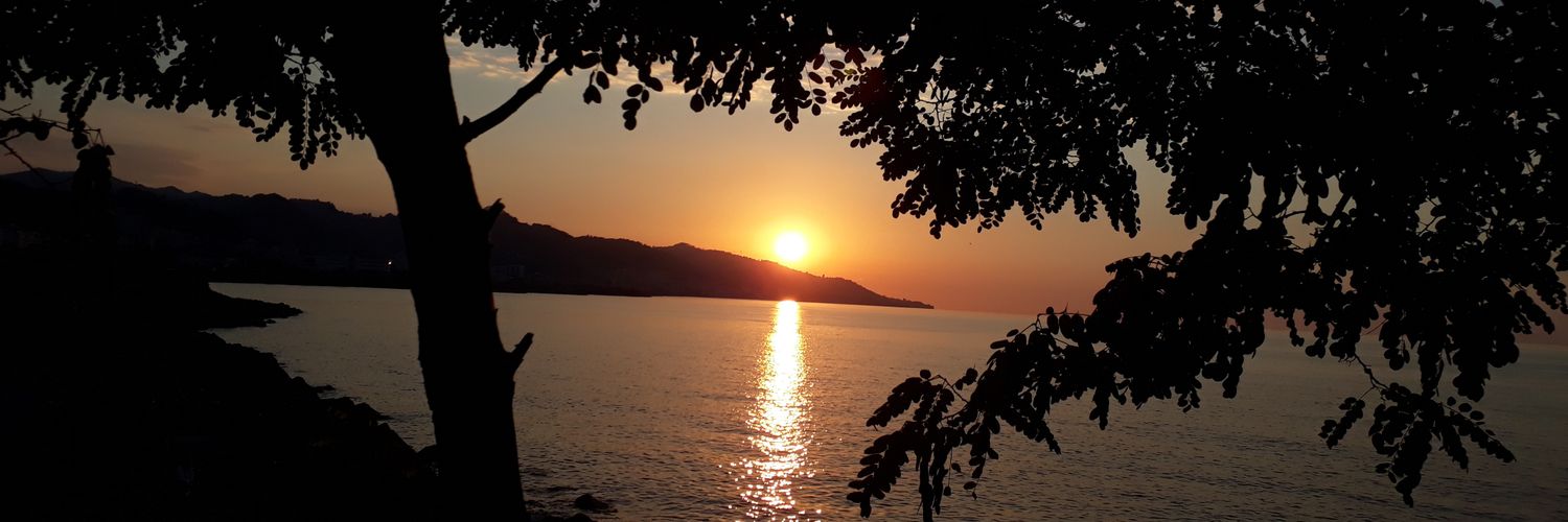sonerocak1971's profile banner image