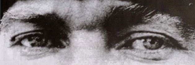 Çelebi.cihangir banner