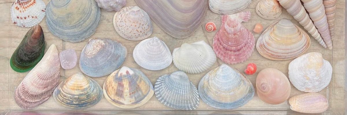 SugoiRoro's profile banner image