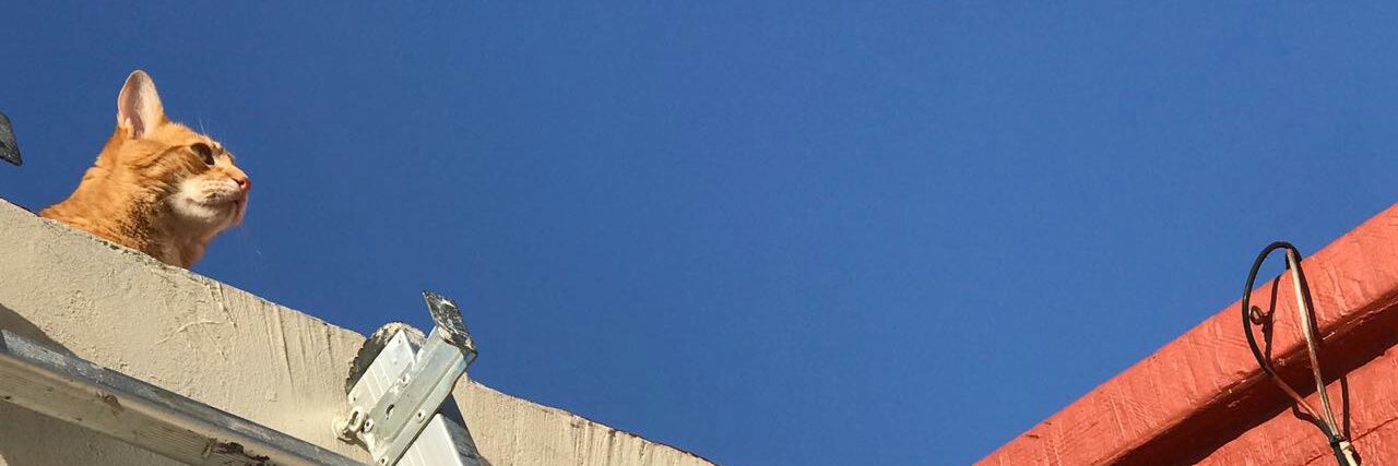 gerardofixer's profile banner image
