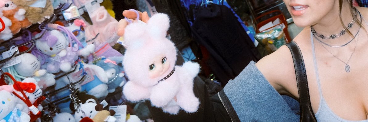 diiskinserted's profile banner image