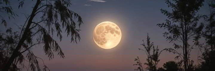joha_moon's profile banner image
