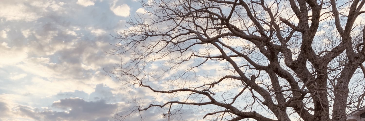Brandon_Hunt_Bt's profile banner image