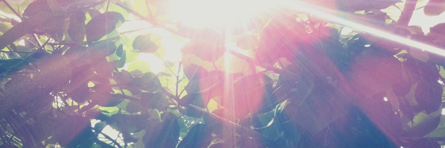 pom0612's profile banner image