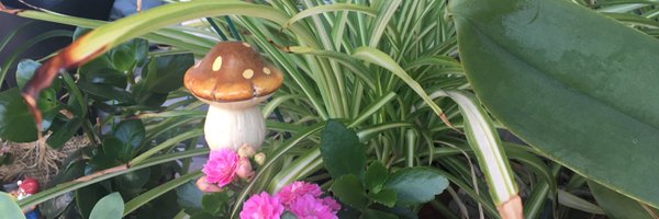 BlancoBea Profile Banner