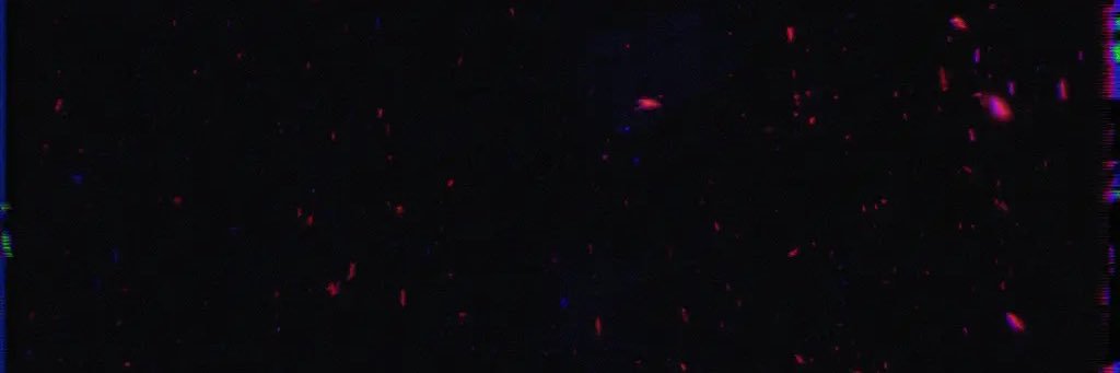 BeckinWndrlnd's profile banner image