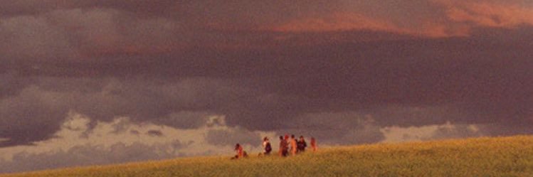 SebaGurtubay's profile banner image