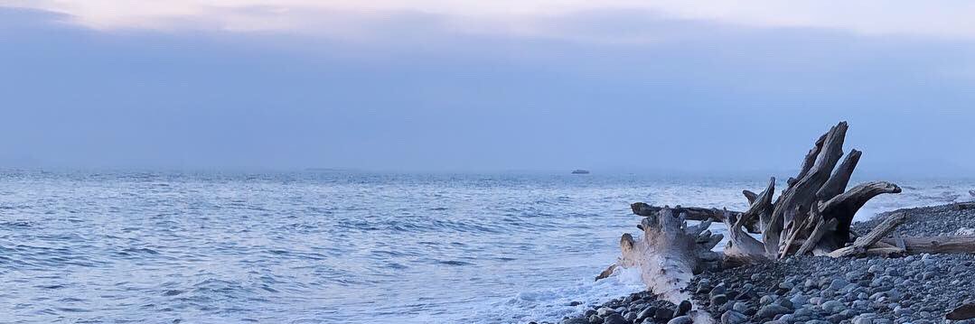 Emily Johnson banner