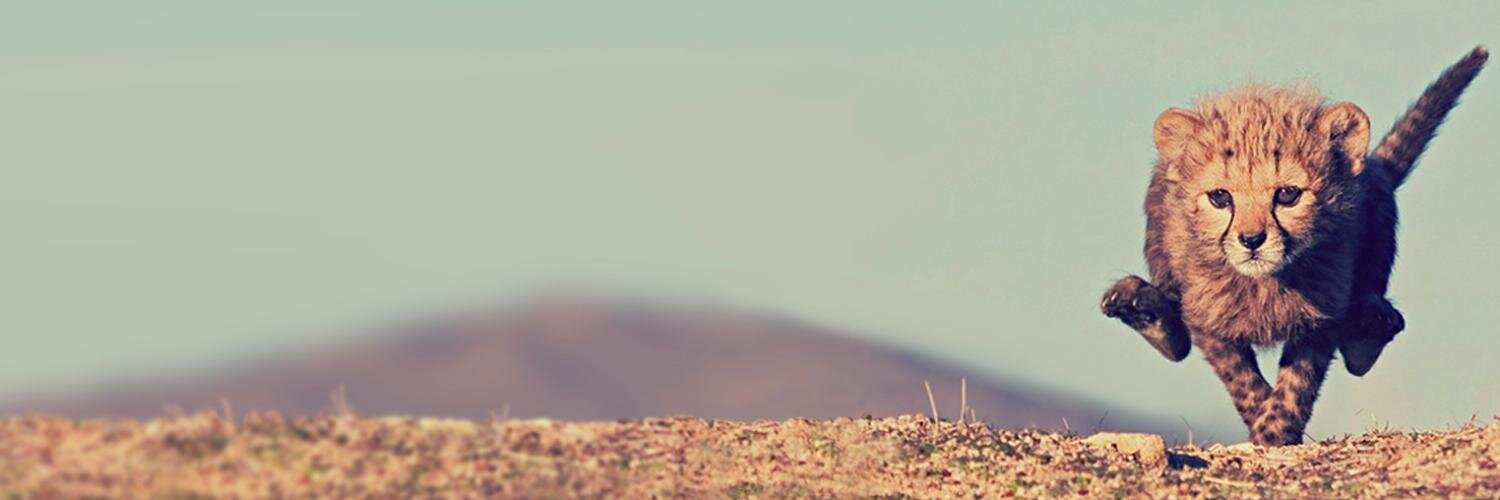 Rex Howell banner