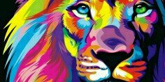 nur_grnd's profile banner image