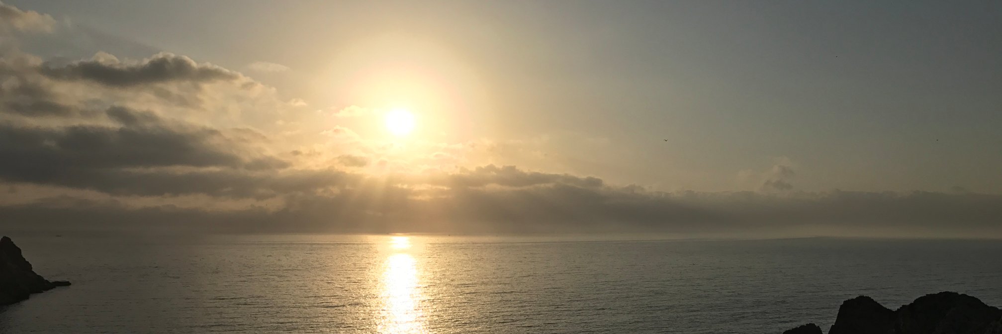 adlachor5's profile banner image