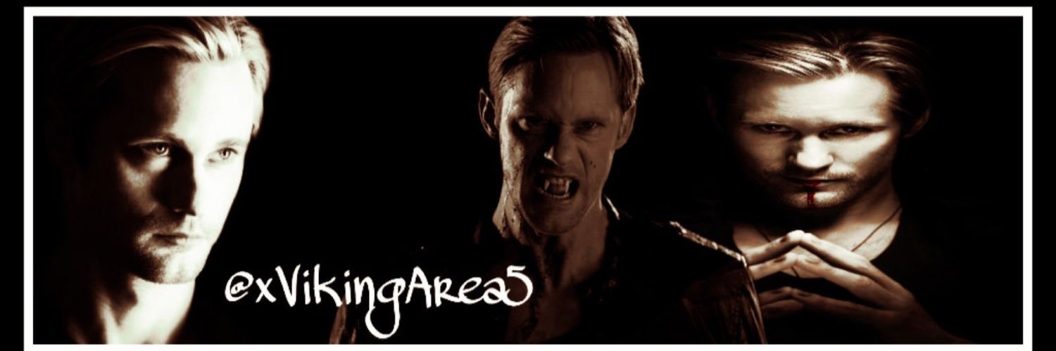 VikingOfArea5's profile banner image