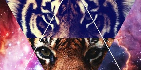 josflow5's profile banner image
