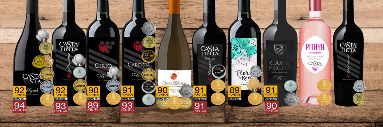 Casta de Vinos banner