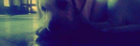 HeidiMarcelo's profile banner image