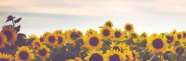 autumn_grounds's profile banner image