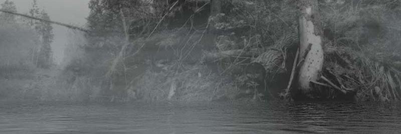 sinthset's profile banner image
