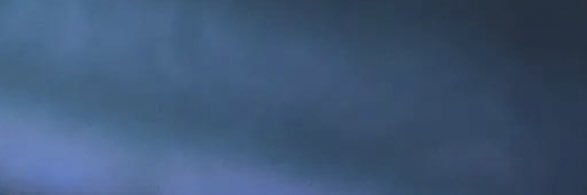 Victoria Ripa banner