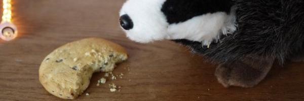 Privacy Badger banner