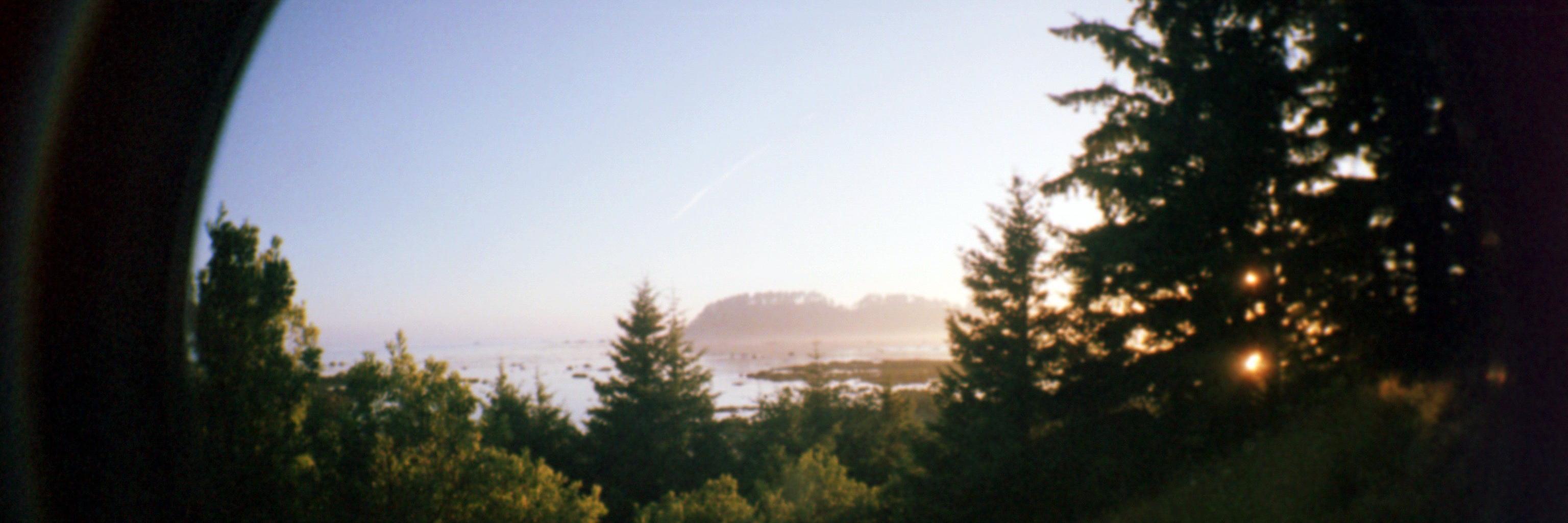 plaguetooth's profile banner image