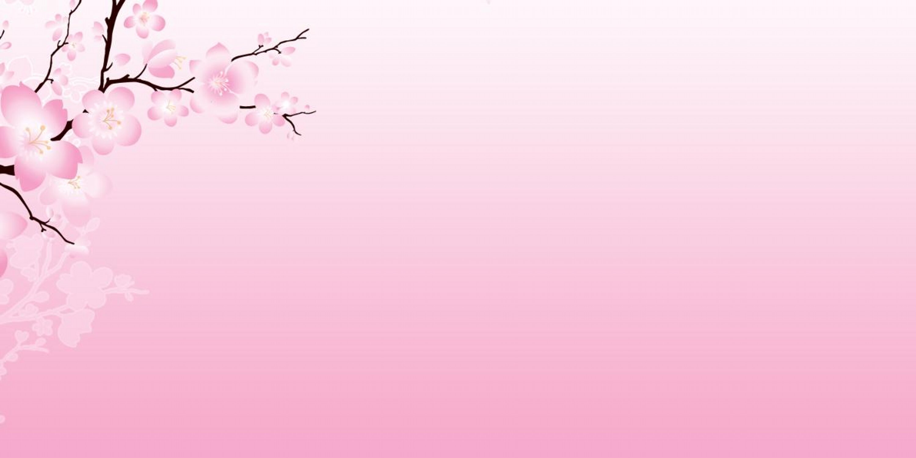 Teriyakixpress's profile banner image