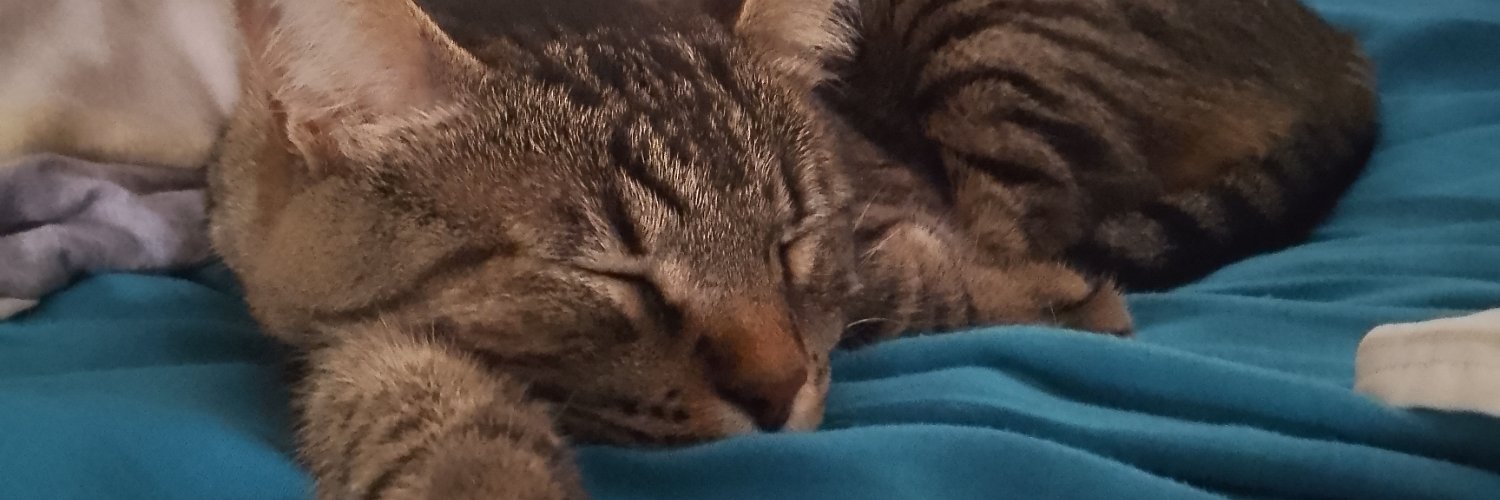 AlejoPared_'s profile banner image