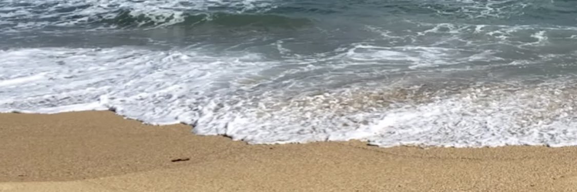 mariale_mp's profile banner image