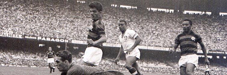 Bruno Borges banner