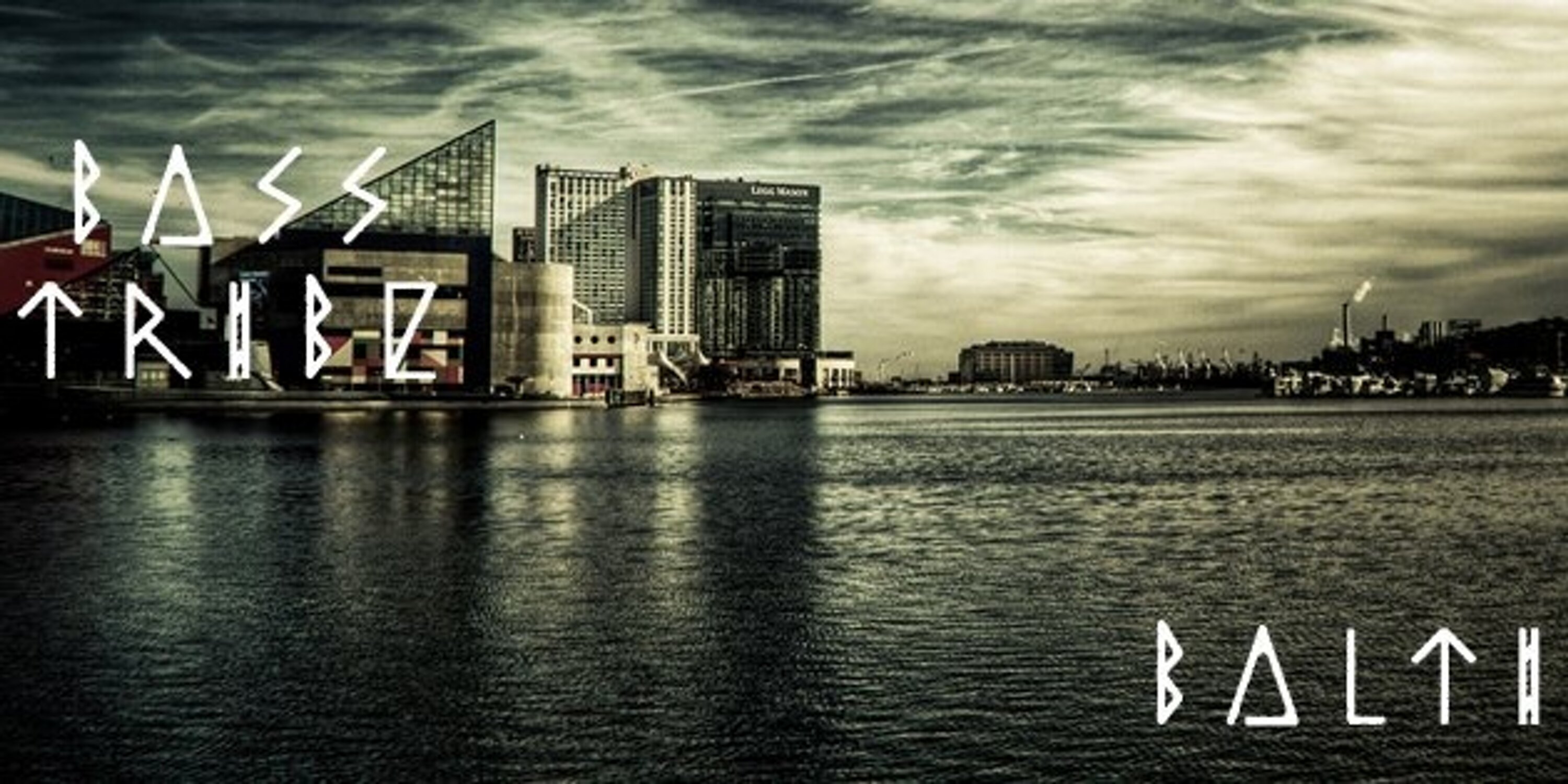 BassTribeBmore's profile banner image