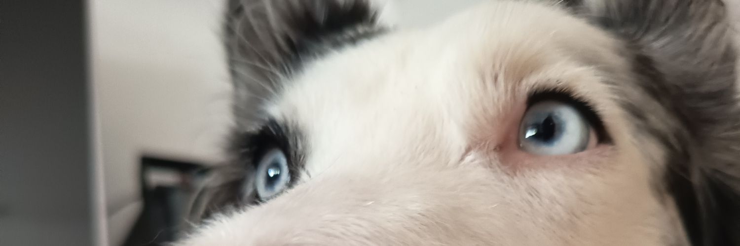 GisbertSimon's profile banner image