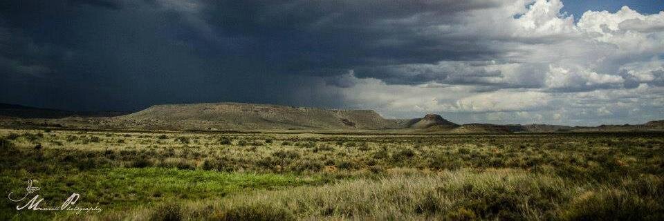 Werner Pretorius △ banner