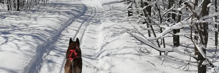 Lisaheldke's profile banner image