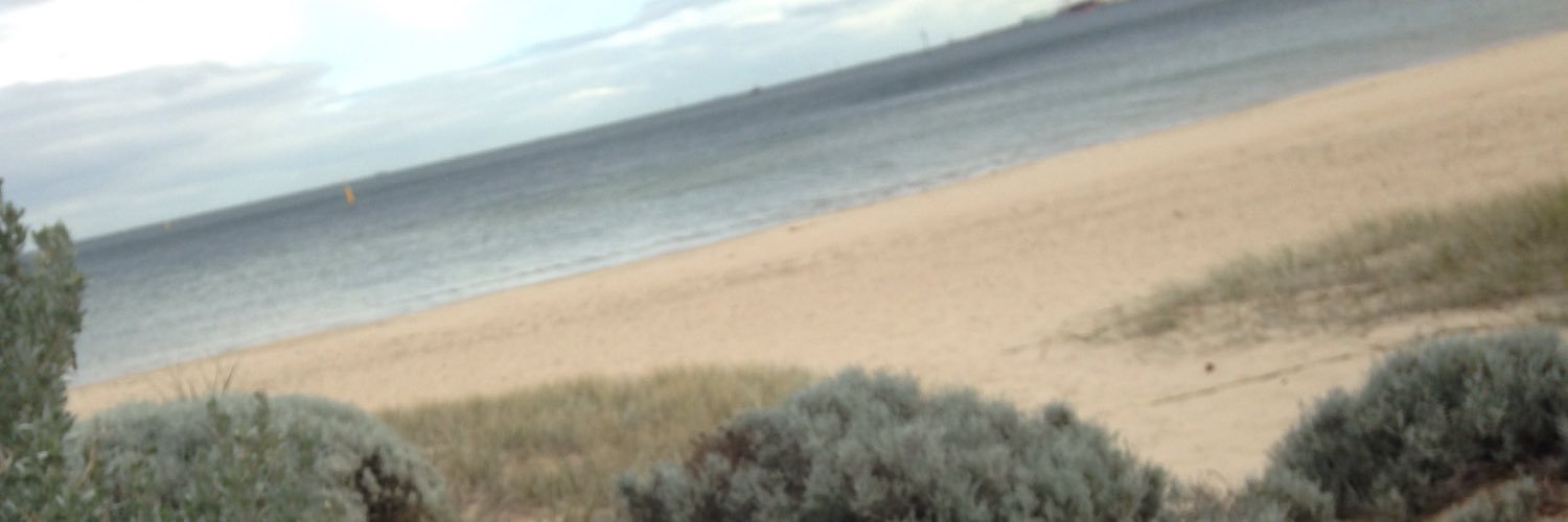 FiPhoenix's profile banner image