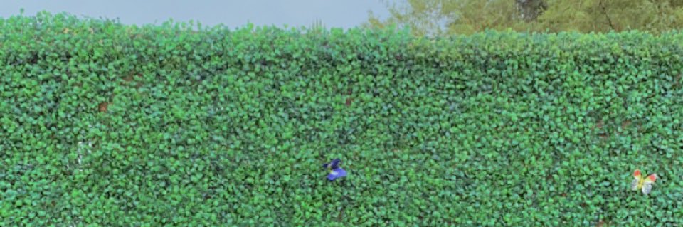 shecouldbejess's profile banner image