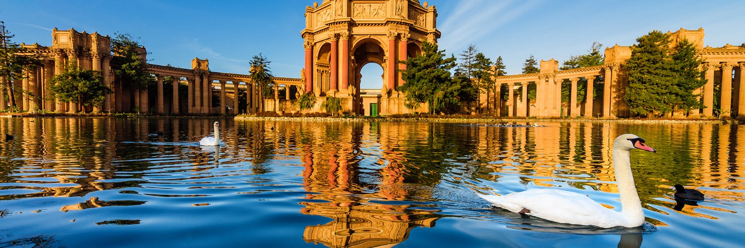 Steve Alimonti banner