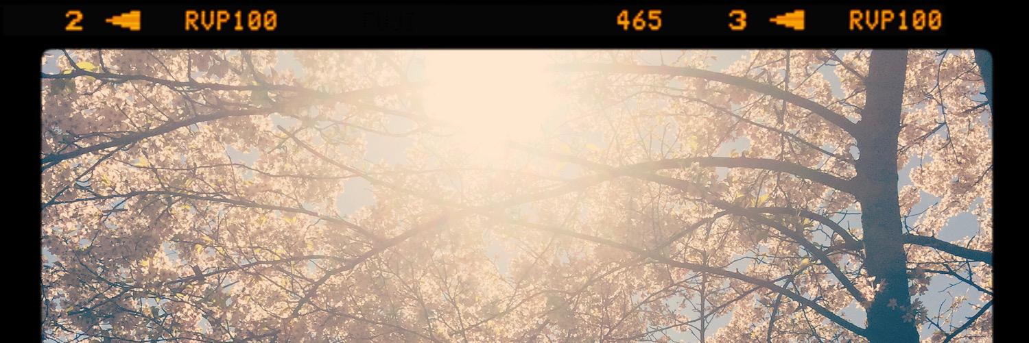 hostejoeri's profile banner image