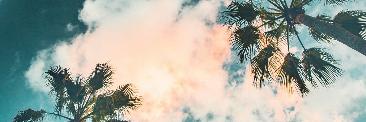 ellapeterss's profile banner image