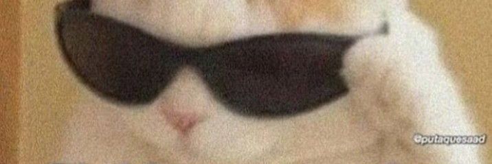 Zbra999_'s profile banner image