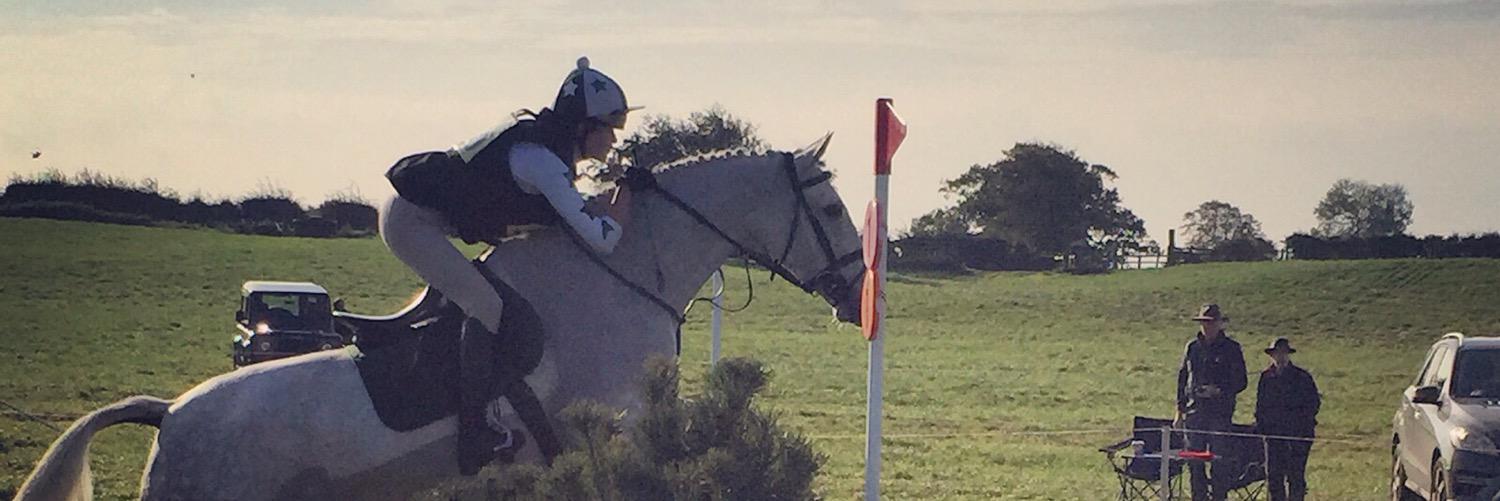 StephhLynch's profile banner image